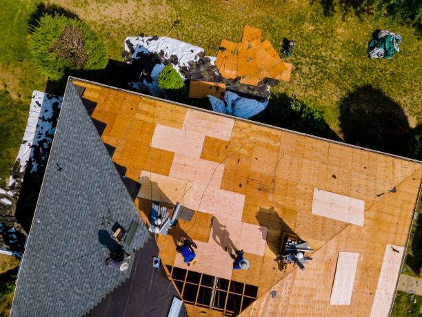 Best Flat Roof Repair Services  in Montrose, VA