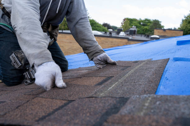 Best Emergency Roof Repair  in Montrose, VA